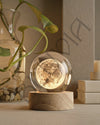 Cosmora™ Lamp